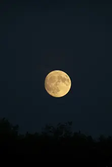 Night Sky Photography Imprime: Moon