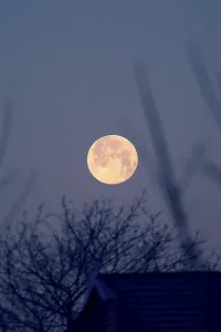 Nighttime Nature Photography Imprime: Full moon