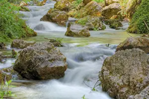 Time Exposure Water Flow Imprime: Mountain stream