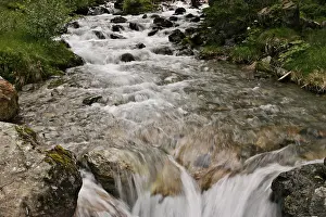 Mountain Torrent Scenery Imprime: Mountain stream