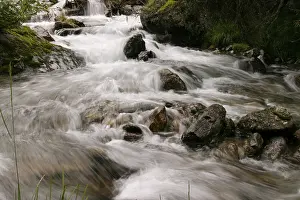 Mountain Creek Imprime: Mountain stream
