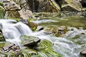 Mountain Creek Photography Imprime: Mountain stream