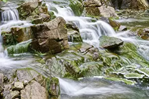 Deserted Mountain Creek Imprime: Mountain stream