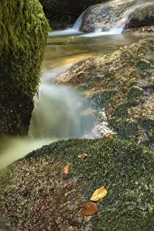 Uninhabited Mountain Stream Imprime: Mountain stream