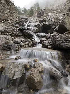 Mountain Creek Landscape Imprime: Mountain stream