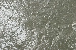 River Bank Scene Imprime: Mud