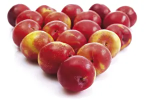 Balanced Diet Foods Imprime: Nectarines