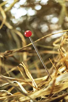 Indoor Studio Photography Imprime: Needle in a stack of hay