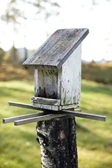 Wildlife Breeding Grounds Imprime: Nesting box