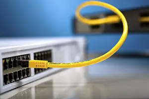 Electronic Communication Devices Imprime: Network switches and patch cables