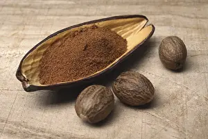 Spice Photography Imprime: Nutmeg