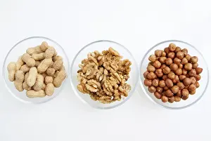 Legume Nutrition Benefits Imprime: Nuts