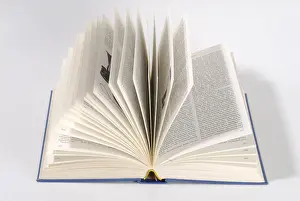 Educational Reform Symbol Imprime: Opened up book