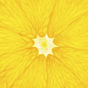 Close Up Orange Slice Imprime: Orange slice close up