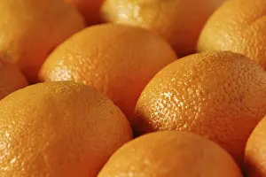 Orange Fruit Imprime: Oranges