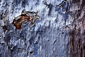 Close Up Plaster Wall Imprime: Painted plaster wall texture