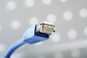 Data Transmission Equipment Imprime: Patch cable