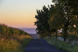Elbe Valley Landscape Imprime: Path between corn fields at sunrise