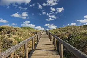 Dune Landscape Imprime: Path through the dune landscape