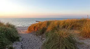 Deserted Beach Path Imprime: Path through the dunes to the beach