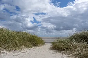 Deserted Beach Germany Imprime: Path through dunes to the beach