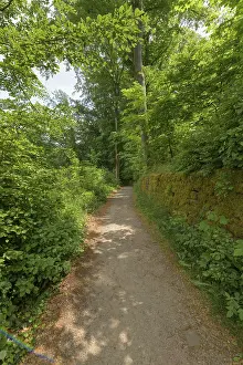 Southern Germany Springtime Imprime: Path in spring, Neckarsteinach