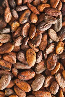 Appetizing Chocolate Dish Imprime: Pattern of the cocoa beans background, top view