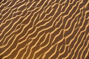Desert Surface Texture Imprime: Patterns in the sand, Libyan Desert