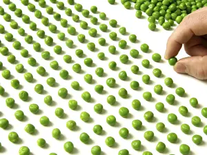 White Background Isolated Images Imprime: Pea counting