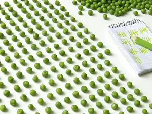 Quality Check Imprime: Pea counting