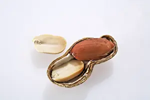 Nutritional Value Of Peanuts Imprime: Peanut