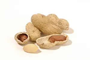 Close Up Peanuts Imprime: Peanuts