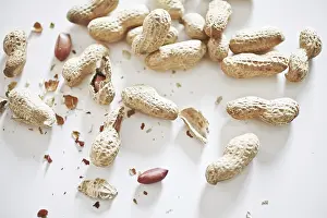 Plant Life Outdoors Imprime: Peanuts