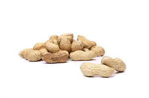 Legume Plant Imprime: Two peanuts in closeup on the peanut background