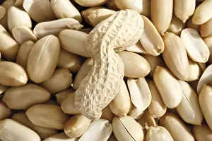 Food Photography Studio Background Imprime: Peanuts, full format