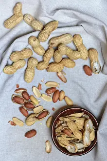 Studio Shot Peanuts Imprime: Peanuts in shell, partially opened, Germany