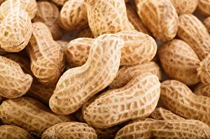 Studio Shot Peanuts Imprime: Peanuts with shells