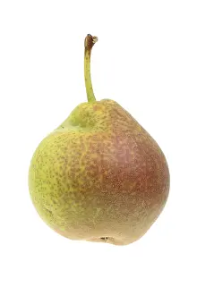 Studio Background Food Image Imprime: Pear