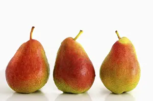 Fresh Pears Imprime: Three pears