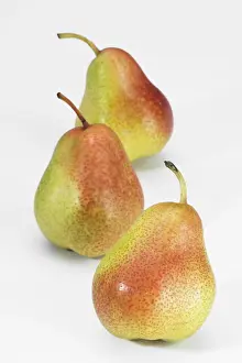 Studio Background Food Imprime: Pears
