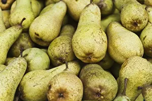 Healthy Fruits Imprime: Pears