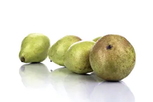 Fresh Pears Imprime: Pears (Pyrus)