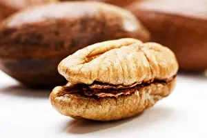 Studio Shot Of Pecans Imprime: Pecans
