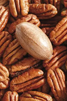 Diverse Nut Mixture Imprime: Pecans, full format