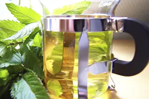 Peppermint Tea Imprime: Peppermint tea