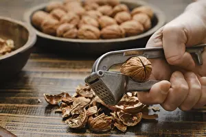 Metal Nutcracker Imprime: A person is cracking open a walnut using a metal nutcracker