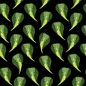 Indoor Leafy Plant Design Imprime: Philodendron seamless pattern