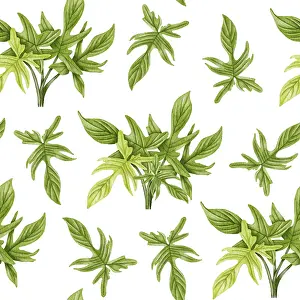 Decorative Indoor Leafy Plants Imprime: Philodendron seamless pattern