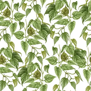 Seamless Pattern Design Imprime: Philodendron seamless pattern