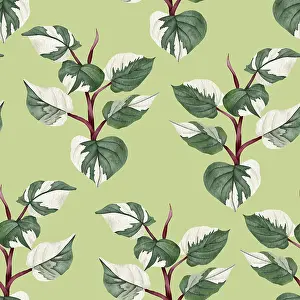 Impresiones de Patrón de Philodendron sin costuras. Ilustración dibujada a mano de planta para casa Plantas En Maceta Imprime: Patrón sin solución de continuidad de Philodendron.